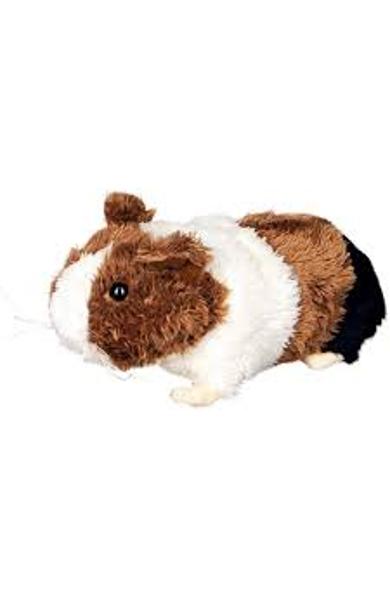 PORCUSOR DE GUINEEA DIN PLUS 15163